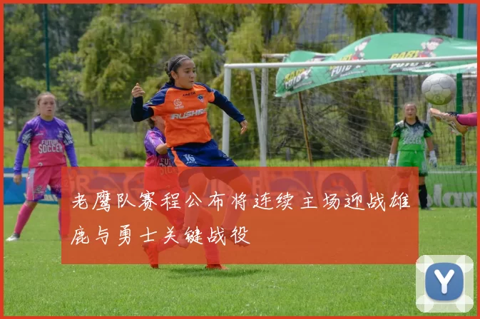 老鹰队赛程公布将连续主场迎战雄鹿与勇士关键战役