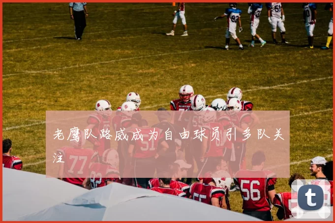 老鹰队路威成为自由球员引多队关注